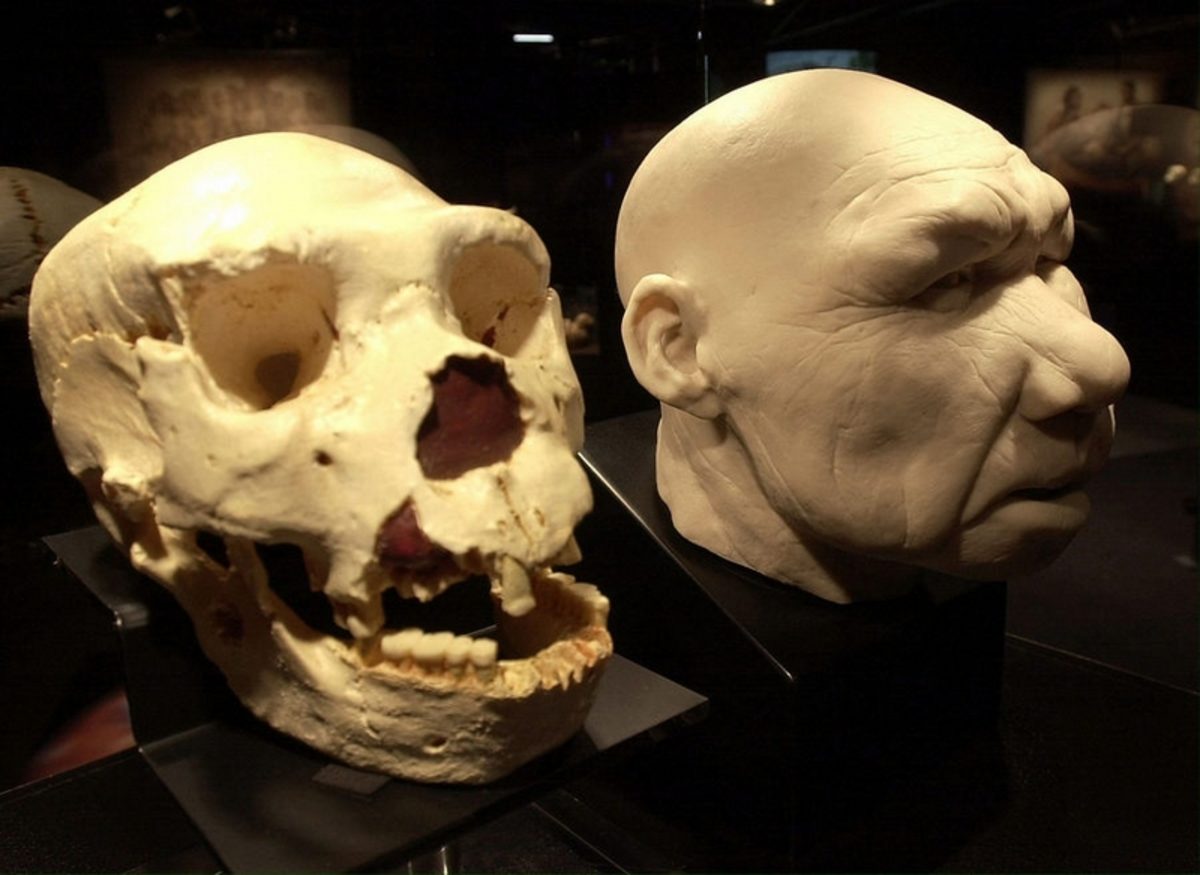 Homo bodoensis