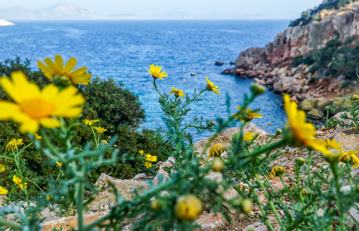 καιρός